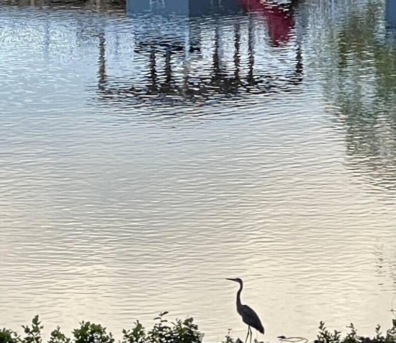 Eagle'S Nest Cottage - Lake Anna Waterfront Bumpass Esterno foto